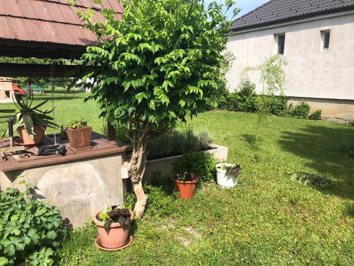 Elvira Vendégház Kisbodak Exterior foto